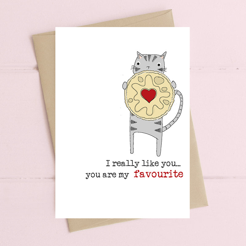 You are my favourite (really like you) Cat Greetings Anniversary Valentine's Day Card