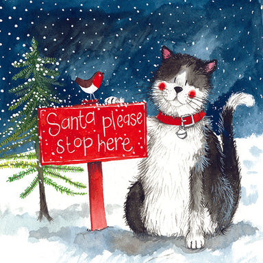 Pack of 5 Alex Clark Santa Stop Here Cat Charity Christmas Cards
