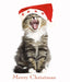 Kitty Chorus Cat Christmas Greeting Card