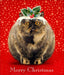 Cat's Pudding Funny Cat Christmas Greeting Card