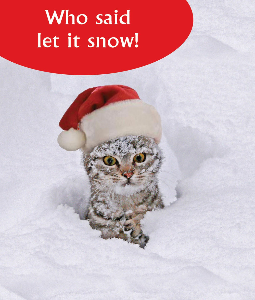 Who Said Let it Snow! Funny Christmas Cat Greeting Card