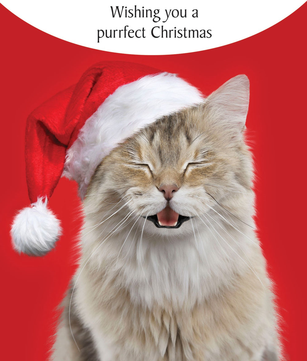 Purrfect Christmas Cat Greeting Card