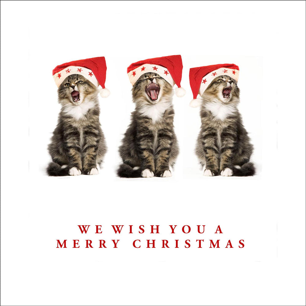 Kitty Chorus Funny Cat Christmas Greeting Card
