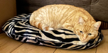 Luxurious Zanzibar Nesting Velvet Quilted Mattress Cat Bed by Danish Design
