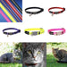 Rogz Reflective Alley Cat Collar - Black